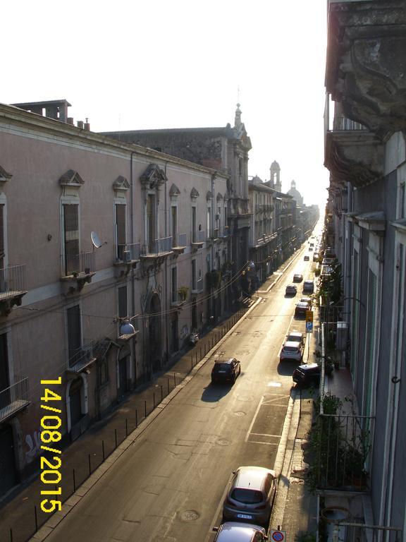 Triple Room City View,202745065:JPEG