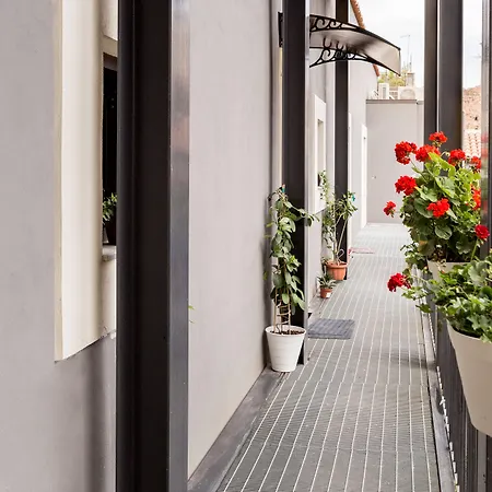 Scuto Home-2